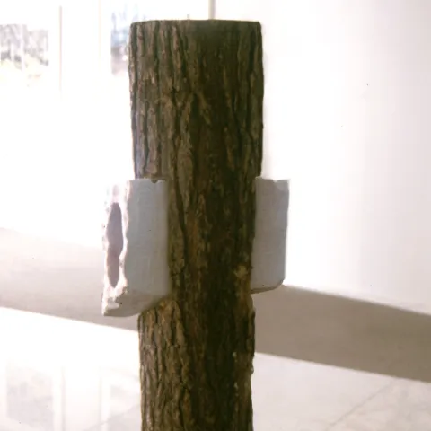 Zieners zijn objecten welke een kijk doen visualiseren naar datgene wat ik als wandelaar gezien heb. Een uitsnede van de werkelijkheid, met fantasieën naar één ieders verbeelding toe